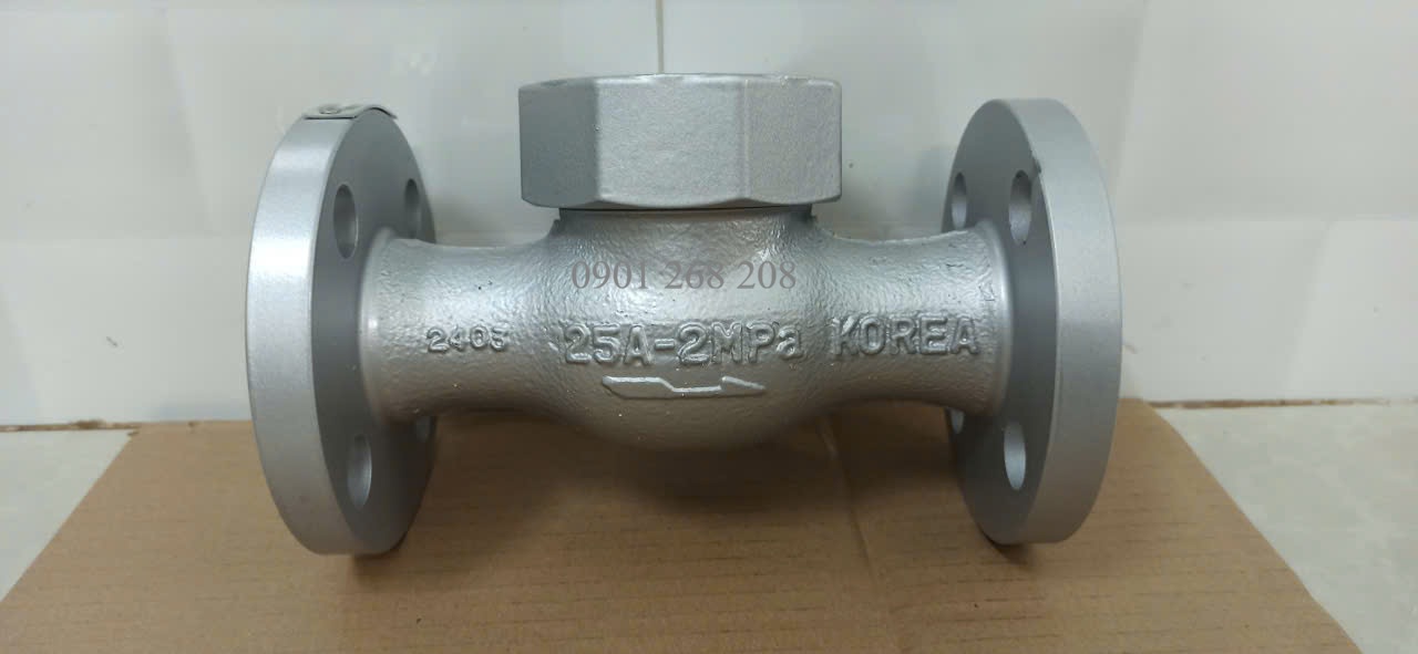 check valve 25A MS Eng WCV-2121